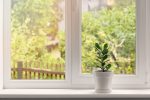 Keep Style in Mind: Types of Double Glazed Windows to Choose From