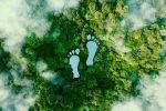 5 Ways To Reduce Your Carbon Footprint