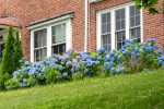 The Science of Sound Proofing Your Home
